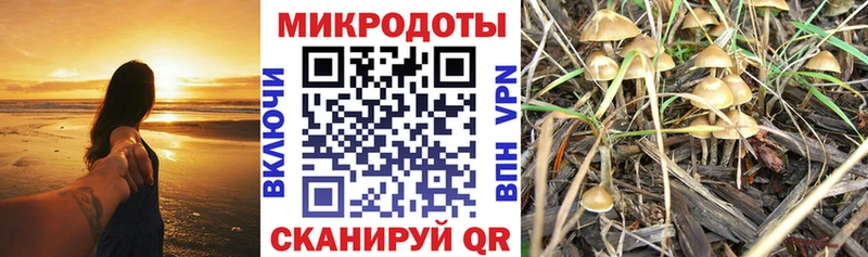 Псилоцибиновые грибы Psilocybine cubensis  hydra вход  дарк нет формула  Великий Новгород 