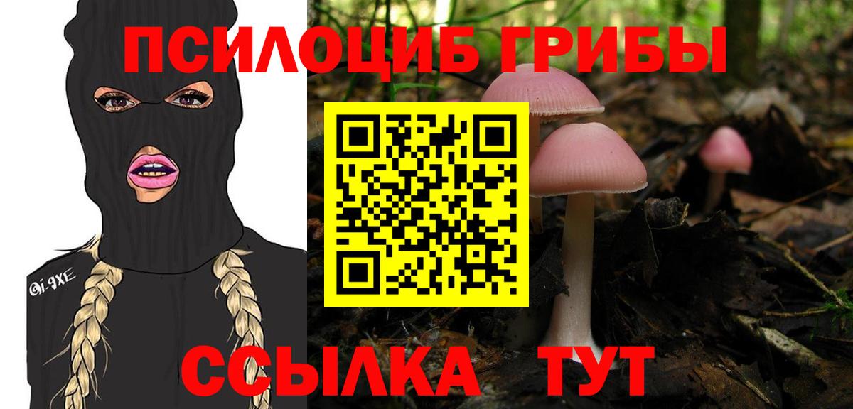 Галлюциногенные грибы Magic Shrooms  Псилоцибиновые грибы Cubensis  Вход с VPN  Великий Новгород 