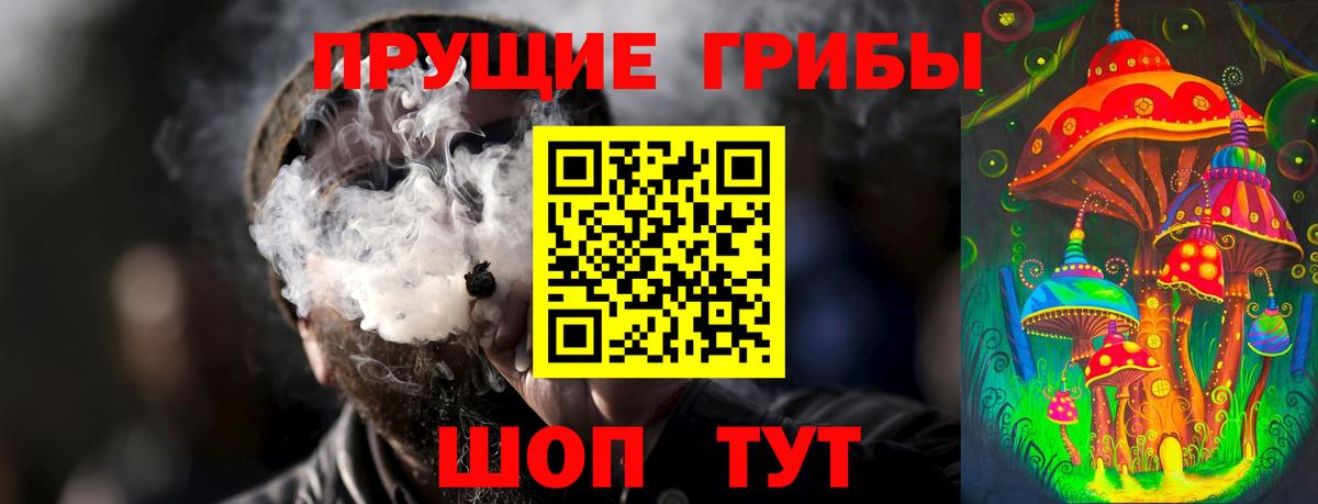 Псилоцибиновые грибы MAGIC MUSHROOMS Великий Новгород